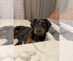 Small #3 Breeder Profile image