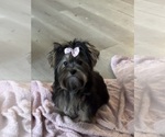 Small #11 Breeder Profile image