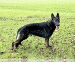 Small #7 Breeder Profile image