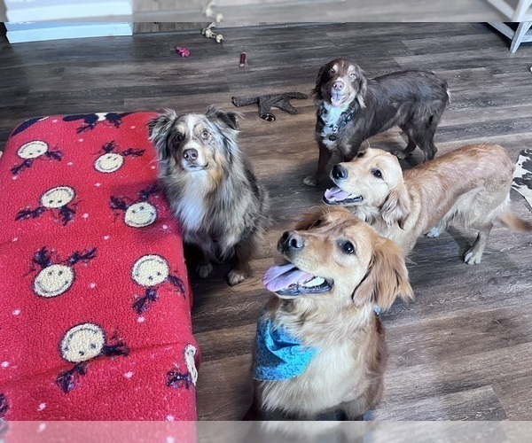 Medium Photo #4  Breeder Profile in HARRISON, OH, USA