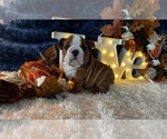 Small #5 Breeder Profile image