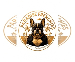 French Bulldog Dog Breeder near AURORA, CO, USA