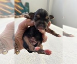 Small #7 Breeder Profile image