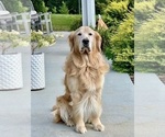 Small #6 Breeder Profile image