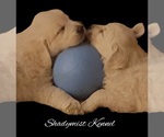 Small #2 Breeder Profile image