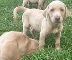 Small #7 Breeder Profile image