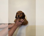 Small #6 Breeder Profile image