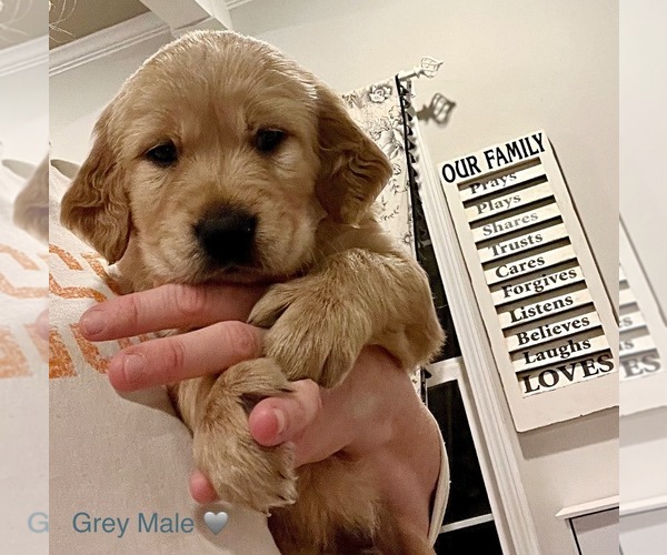 Medium Photo #44  Breeder Profile in SWEETWATER, TN, USA
