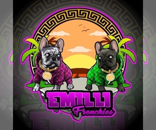 Medium Photo #1  Breeder Profile in LOS ANGELES, CA, USA