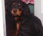 Small #10 Breeder Profile image