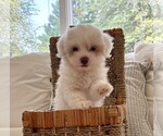 Small #5 Breeder Profile image