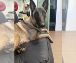 Small #9 Breeder Profile image
