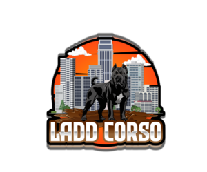 Cane Corso Dog Breeder near SENOIA, GA, USA