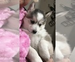 Small #20 Breeder Profile image