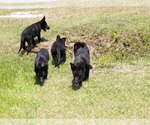 Small #7 Breeder Profile image