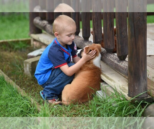 Medium Photo #36  Breeder Profile in PARIS, MI, USA