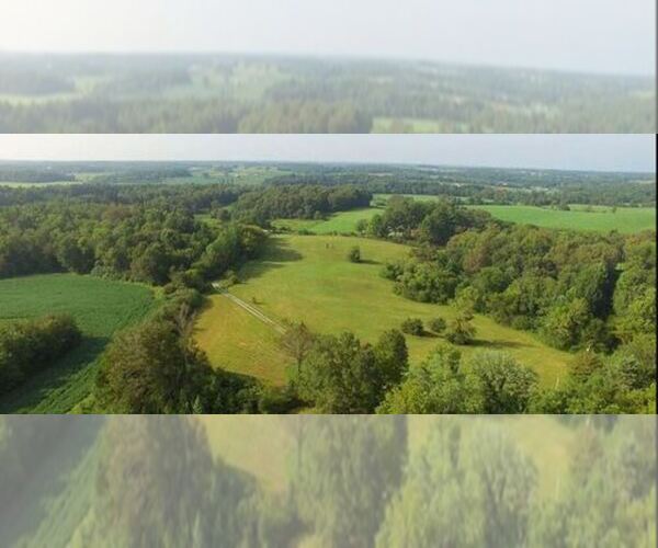 Medium Photo #1  Breeder Profile in MCMINNVILLE, TN, USA