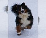 Small #1 Breeder Profile image