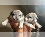 Small #23 Breeder Profile image