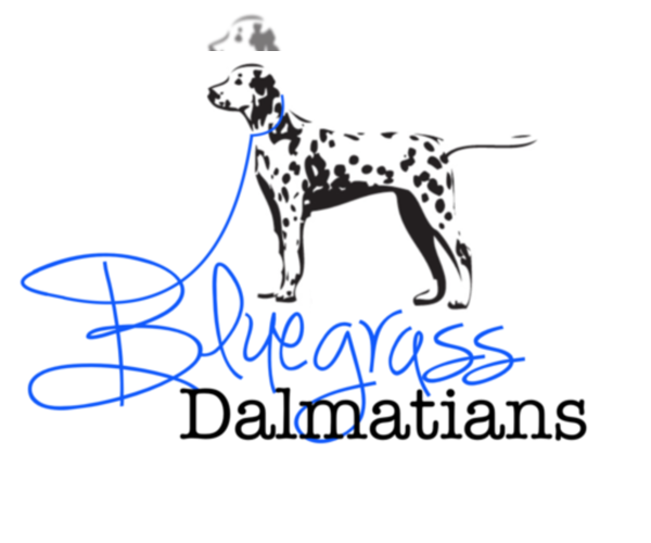 Medium Photo #1  Breeder Profile in LEXINGTON, KY, USA