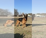 Small #11 Breeder Profile image