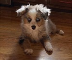Small #27 Breeder Profile image