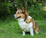 Small #1 Breeder Profile image