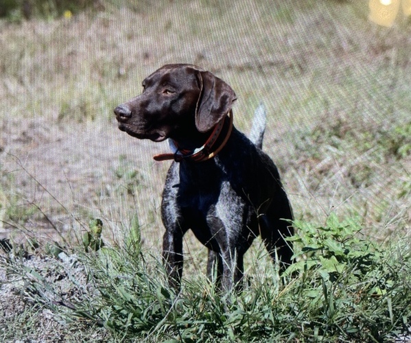 Medium Photo #1  Breeder Profile in ELIZABETH CITY, NC, USA