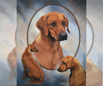 Small #9 Breeder Profile image
