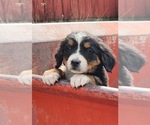 Small #1 Breeder Profile image
