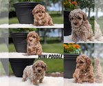 Small #16 Breeder Profile image
