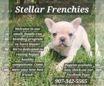 Small breeder photo