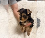 Small #5 Breeder Profile image