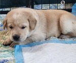 Small #13 Breeder Profile image
