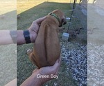 Small #36 Breeder Profile image