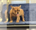 Small #14 Breeder Profile image