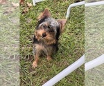 Small #11 Breeder Profile image