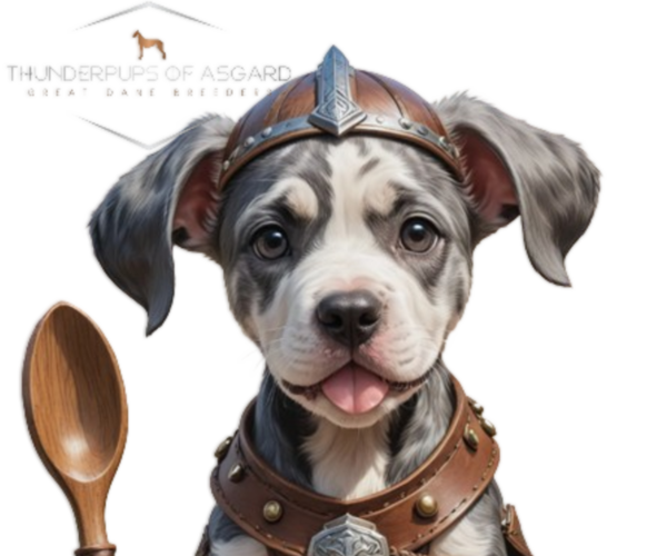 Medium Photo #1  Breeder Profile in HENDERSON, NV, USA