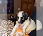 Small #15 Breeder Profile image