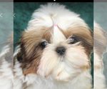 Small #1 Breeder Profile image