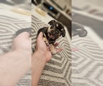 Small #10 Breeder Profile image