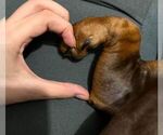Small #11 Breeder Profile image