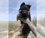 Small #143 Breeder Profile image