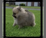 Small #27 Breeder Profile image