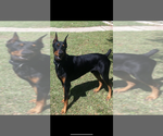 Small #23 Breeder Profile image