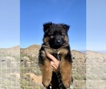 Small #123 Breeder Profile image