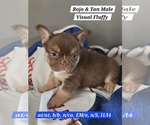 Small #8 Breeder Profile image