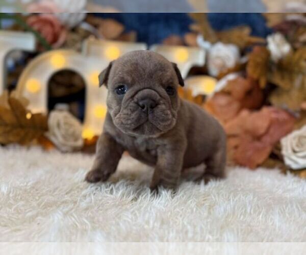 Medium Photo #9  Breeder Profile in OOLOGAH, OK, USA