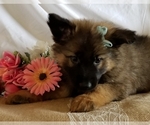 Small #16 Breeder Profile image