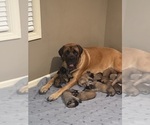 Small #4 Breeder Profile image